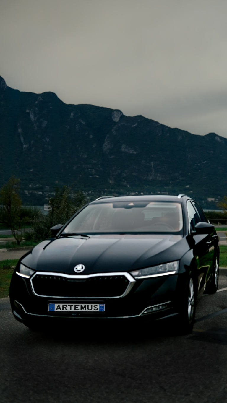 Véhicule importé d'Allemagne La Skoda Octavia Combi Style