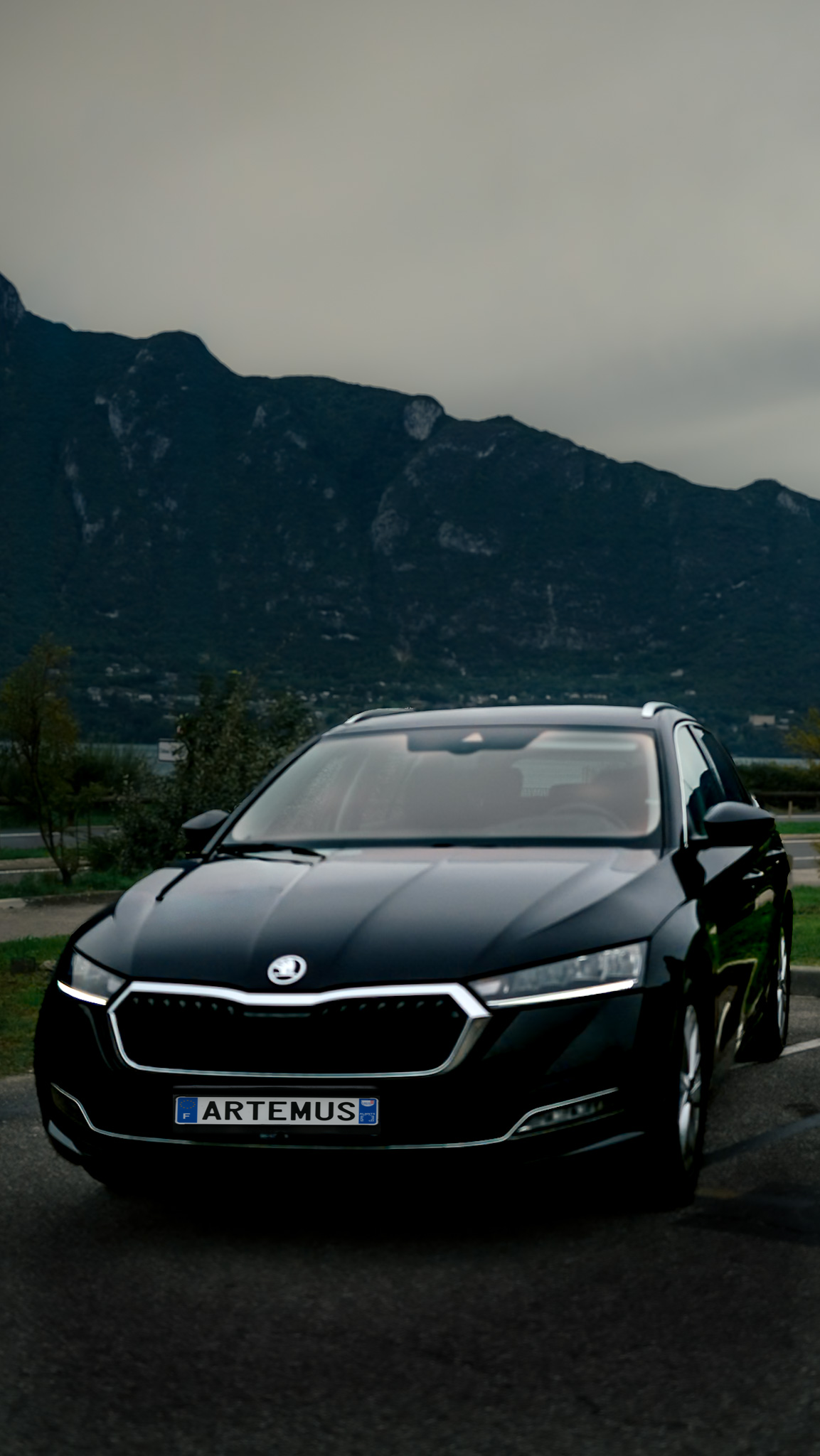 Véhicule importé d'Allemagne La Skoda Octavia Combi Style